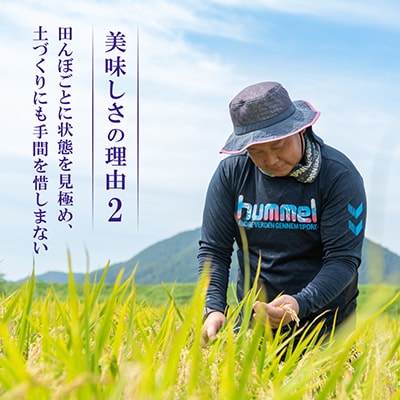 【令和8年産先行受付】福井県若狭町コシヒカリ(1等米)　5kg