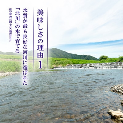 【令和8年産先行受付】福井県若狭町ひとめぼれ(1等米)　10kg(5kg×2袋)