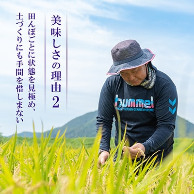 【令和8年産先行受付】福井県若狭町つきあかり(1等米)　10kg(5kg×2袋)