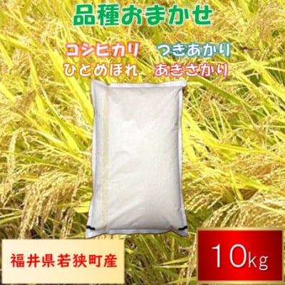 【令和7年産】福井県若狭町産　品種おまかせ 10kg  精米