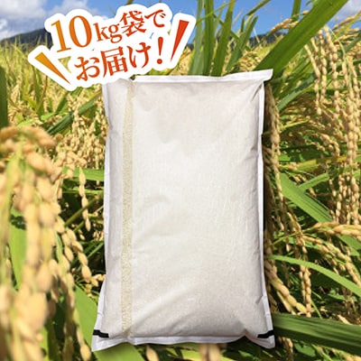 【令和7年産】福井県若狭町産　品種おまかせ 10kg 精米 訳あり 簡易袋