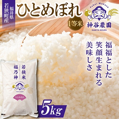 【令和8年産先行受付】福井県若狭町 ひとめぼれ(1等米)　5kg