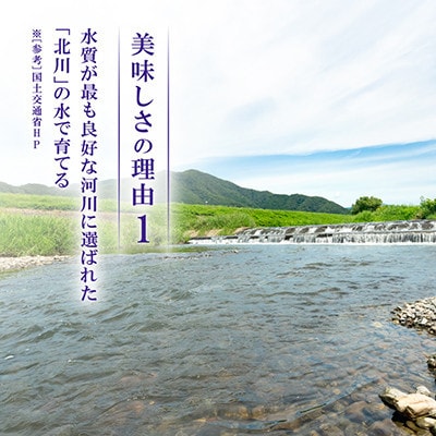 【令和8年産先行受付】福井県若狭町 あきさかり(1等米)　20kg(5kg×4袋)