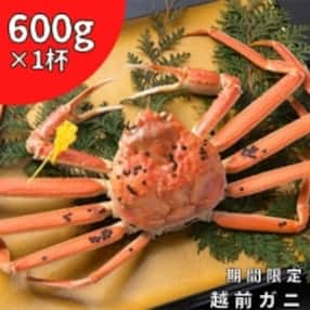 福井県 カニのお礼品 返礼品一覧 ふるさと納税サイト さとふる