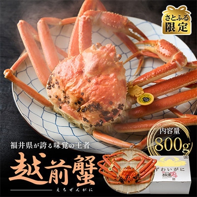 【さとふる限定】茹で「越前ガニ」期間限定 食通もうなる本場の味です。　800g以上×1杯