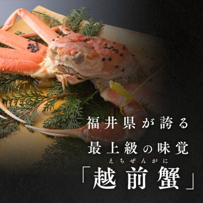 【さとふる限定】茹で「越前ガニ」期間限定 食通もうなる本場の味です。　900g以上×1杯