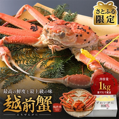 【さとふる限定】茹で「越前ガニ」期間限定 食通もうなる本場の味です。　1kg以上×1杯