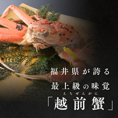 【さとふる限定】茹で「越前ガニ」期間限定 食通もうなる本場の味です。　1kg以上×1杯