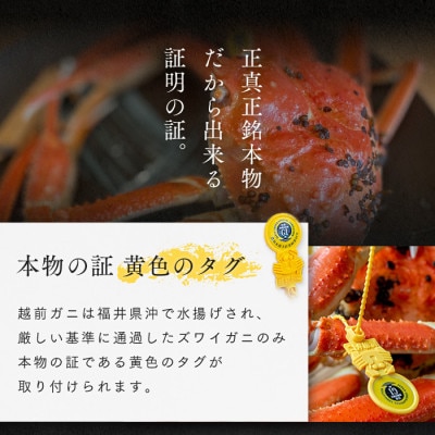 【さとふる限定】茹で「越前ガニ」期間限定 食通もうなる本場の味です。　1kg以上×1杯