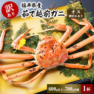 【2023年2月中旬発送】訳あり茹で越前ガニ　600g以上～700g未満×1杯(脚折れあり)