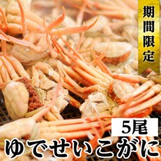 冬の味覚 茹でセイコガニ 5ハイ