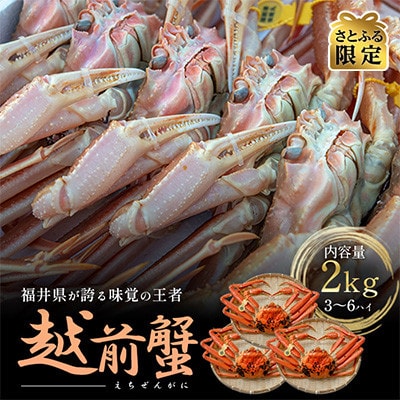 【さとふる限定】冬の味覚　茹で越前ガニ　2kg以上(3-6杯)脚折れ含む
