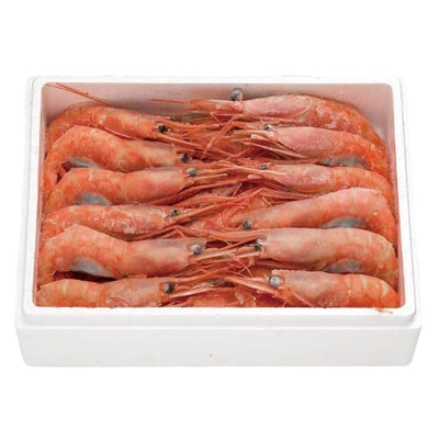 ねっとり甘い 子持ち 日本海甘えび 500g 約30尾 お礼品詳細 ふるさと納税なら さとふる
