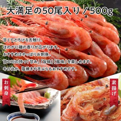 ねっとり甘い 子無し 日本海甘えび 500g(約50尾)