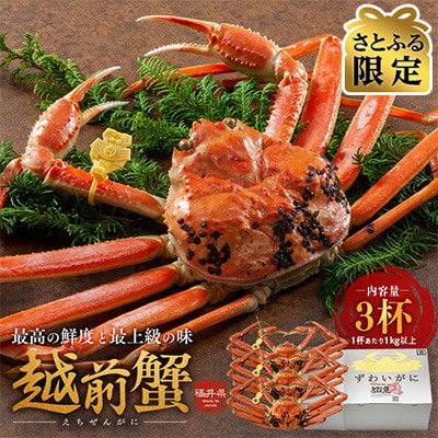 【さとふる限定】茹で「越前ガニ」期間限定 食通もうなる本場の味です。　1kg以上×3杯