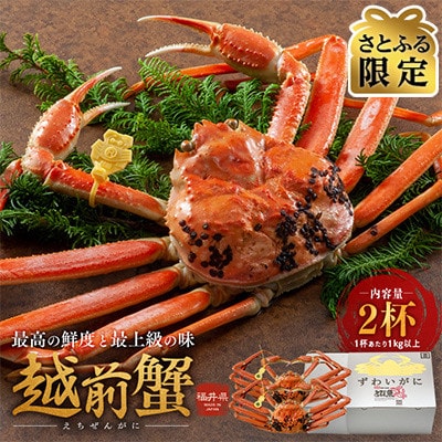 【さとふる限定】茹で「越前ガニ」期間限定 食通もうなる本場の味です。　1kg以上×2杯