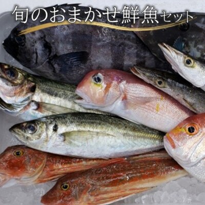 「産地直送」旬のおまかせ鮮魚セット