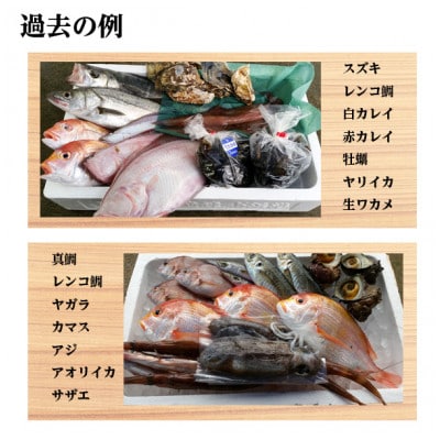 「産地直送」旬のおまかせ鮮魚セット