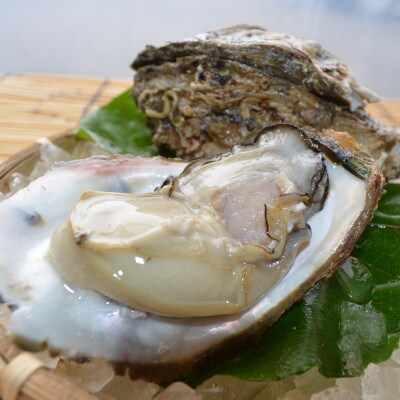 若狭湾で漁師が素潜りで獲った天然岩ガキ(殻付き)・活サザエの詰め合わせ