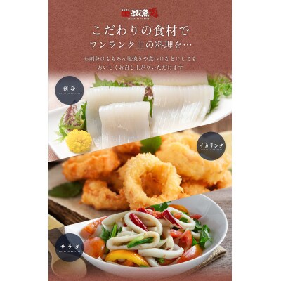 若狭湾産 秋が旬の朝獲れアオリイカ3～8杯(下処理なし)