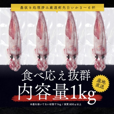 若狭湾産 白イカ(剣先イカ) 3～6杯 (スミ抜き/冷凍)
