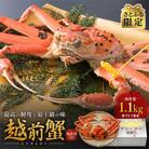 【さとふる限定】茹で「越前ガニ」食通もうなる本場の味をぜひ、ご堪能ください　1.1kg以上×1杯