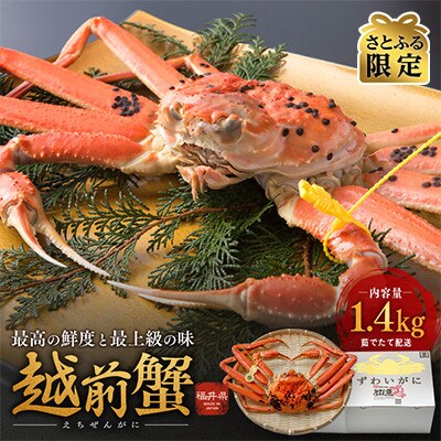 【さとふる限定】茹で「越前ガニ」食通もうなる本場の味をぜひ、ご堪能ください　1.4kg以上×1杯