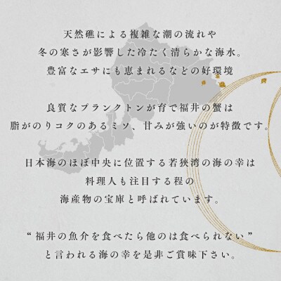 【さとふる限定】茹で「越前ガニ」食通もうなる本場の味をぜひ、ご堪能ください　1.4kg以上×1杯