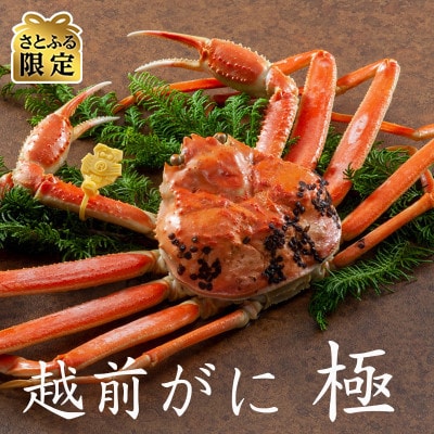 【さとふる限定】茹で「越前ガニ」食通もうなる本場の味をぜひ、ご堪能ください　1.5kg以上×1杯　極