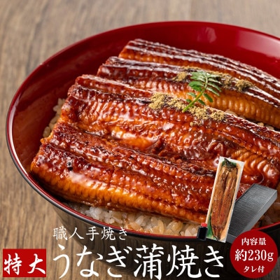 国産うなぎ 特大蒲焼き 約230g前後 1尾 職人手焼き ギフトにも