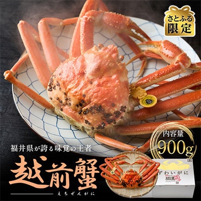 【さとふる限定】【年末発送】茹で「越前ガニ」期間限定 900g以上×1杯