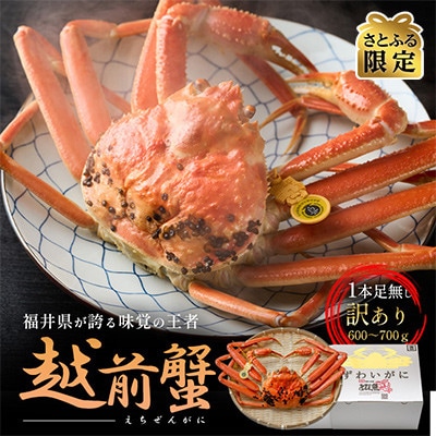 【さとふる限定】【年末発送】茹で越前ガニ 足折れ 600g～700g×1尾