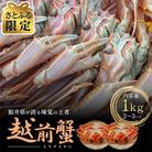 【さとふる限定】【年末発送】茹で越前ガニ 足折れ 1kg以上(2-3杯)脚折れ含む