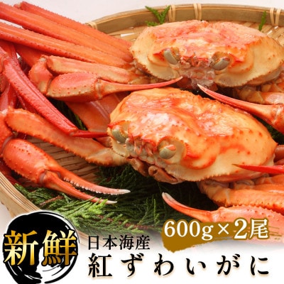 紅ずわいがに 600g前後×2尾