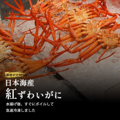 紅ずわいがに 600g前後×2尾