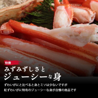 紅ずわいがに 600g前後×2尾