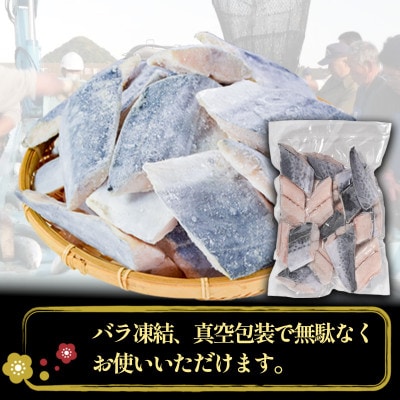 さわら切り身 1Kg