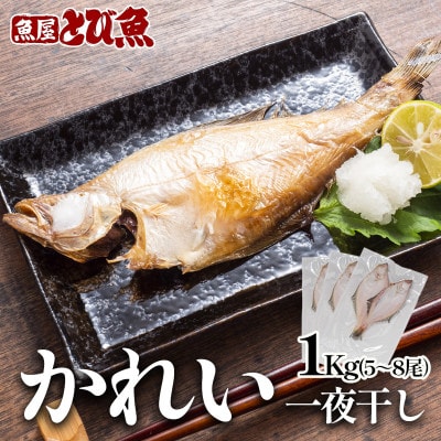 かれい一夜干し 1Kg(5～8尾)