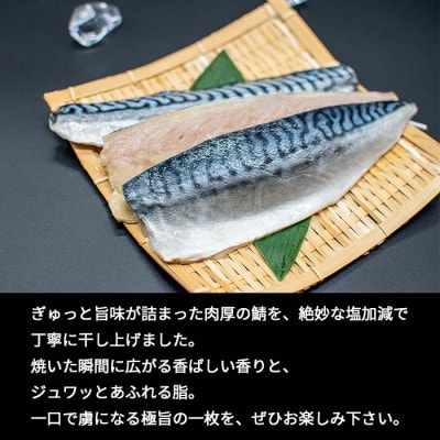 サバ干物　片身6枚