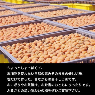 白干しうめ　400g