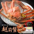 訳あり茹で越前ガニ　500g×3杯(脚折れあり)