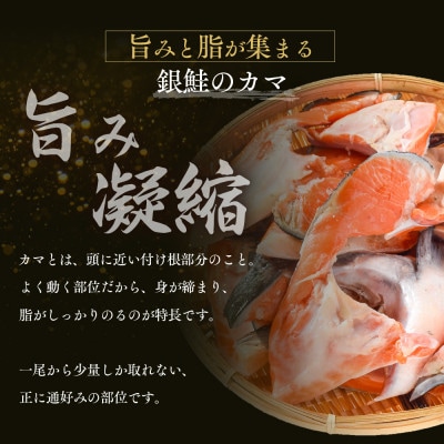 塩銀鮭カマ【端材、訳あり】1Kg