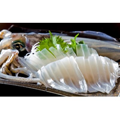 【若狭湾産】朝どれ アオリイカ 3～5杯 下処理なし