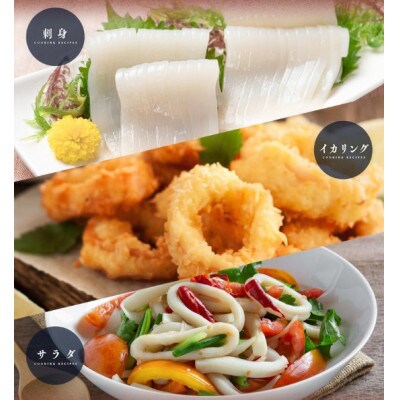 【若狭湾産】朝どれ アオリイカ 3～5杯 下処理なし