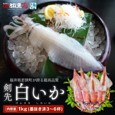 【若狭湾産】剣先イカ 3～6杯　スミ抜き　冷凍