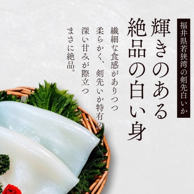 【若狭湾産】剣先イカ 3～6杯　スミ抜き　冷凍