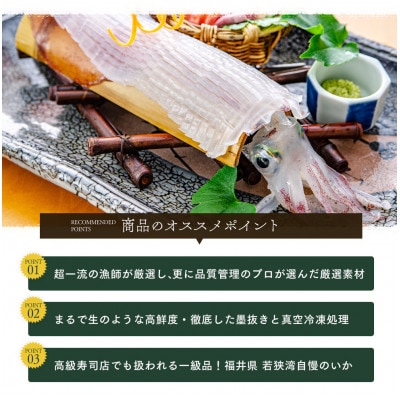 【若狭湾産】剣先イカ 3～6杯　スミ抜き　冷凍