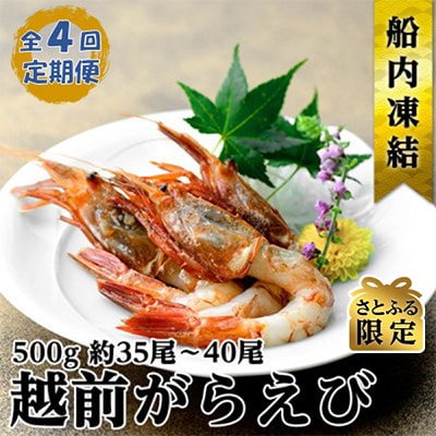 【3ヵ月毎定期便】【さとふる限定】越前ガラエビ　500g(約35～40尾)全4回