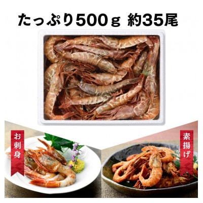 【3ヵ月毎定期便】【さとふる限定】越前ガラエビ　500g(約35～40尾)全4回