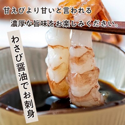【3ヵ月毎定期便】【さとふる限定】越前ガラエビ　500g(約35～40尾)全4回